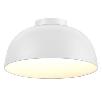 Napa LED Flushmount/Pendant