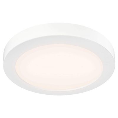 Radiance Outdoor LED Flushmount