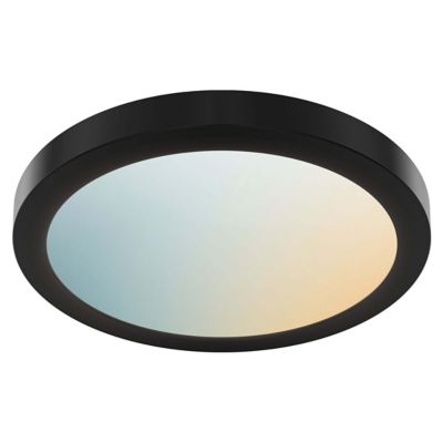Radiance Outdoor Smart LED Flushmount