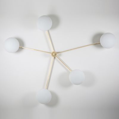 Stella Starfish Wall / Ceiling Light