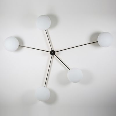 Stella Starfish Wall / Ceiling Light