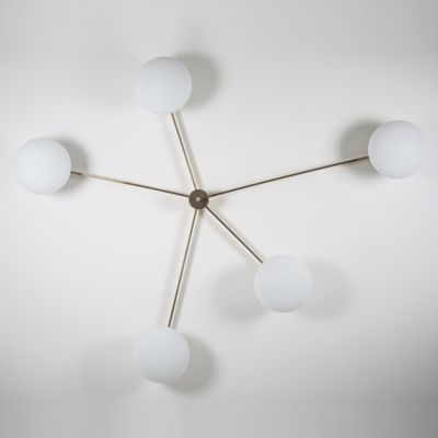 Stella Starfish Wall / Ceiling Light