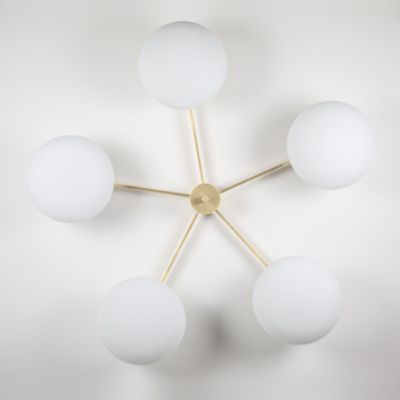 Stella Daisy Wall / Ceiling Light
