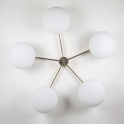 Daisy Wall / Ceiling Light