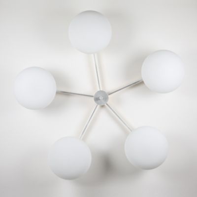 Stella Daisy Wall / Ceiling Light