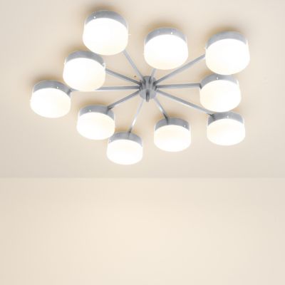 Celeste Epoch Wall / Flushmount