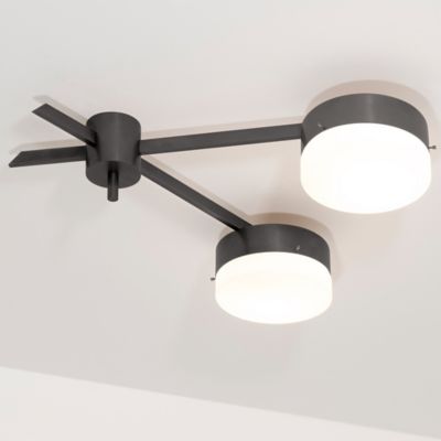 Celeste Serendipity Wall / Semi-Flushmount