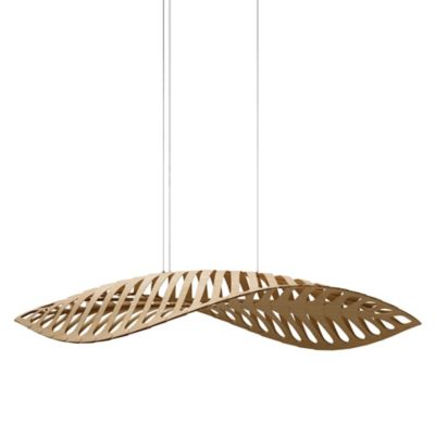 Navicula Pendant Light