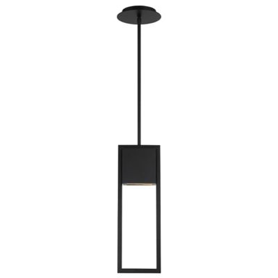 Archetype LED Indoor & Outdoor Pendant