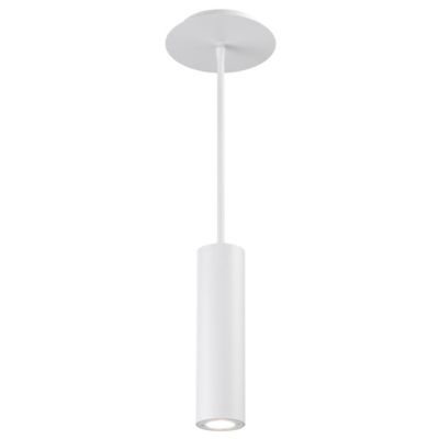 Caliber LED Indoor & Outdoor Pendant