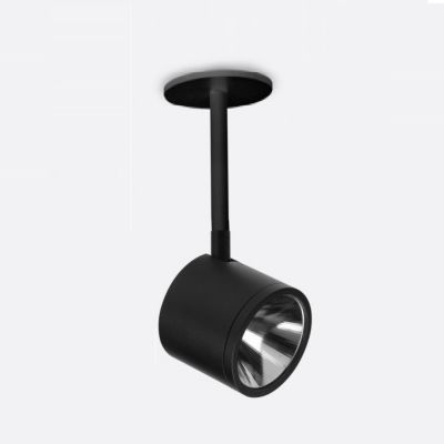 Newton 6468 LED Spotlight