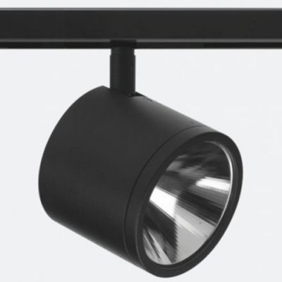 Newton 6448 LED Track Head