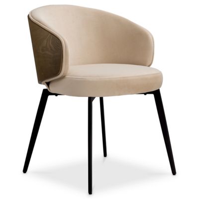 Camerota Dining Chair