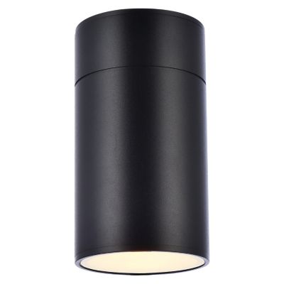 Raine Cylinder Outdoor Wall Sconce