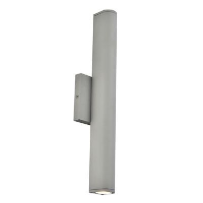 Raine Tall Outdoor LED Wall Sconce