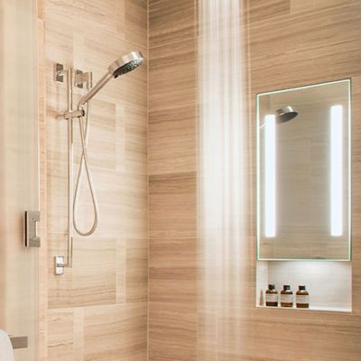 Acclaim In-Shower Fog Free Mirror with Down Light