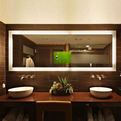 Silhouette Lighted Mirror with Television by Electric Mirror at