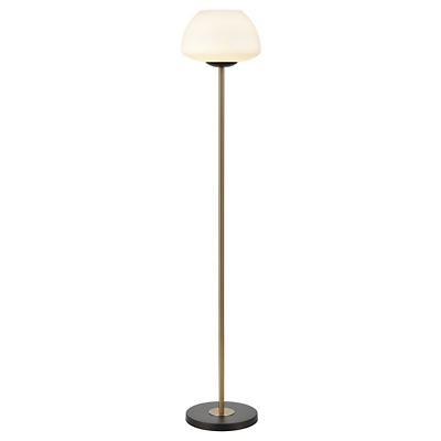 Ali Grove Floor Lamp