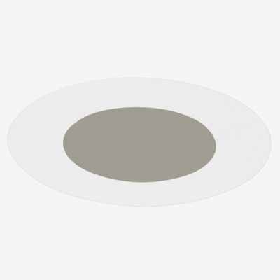 2 Inch Round Flat Fangeless LED Trim