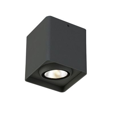 Outdoor LED Surface Mount