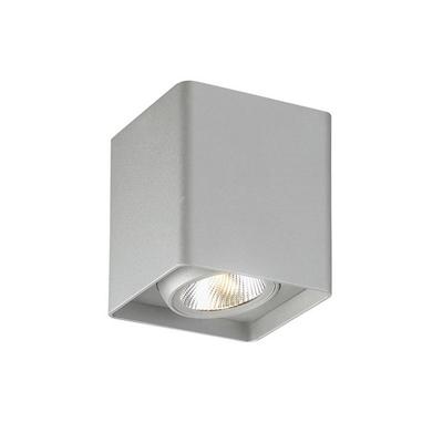 Outdoor LED Surface Mount
