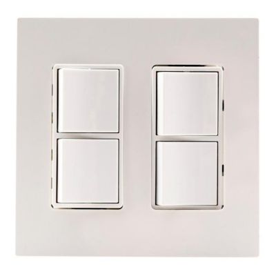 Dual Duplex Switch Wall Plate