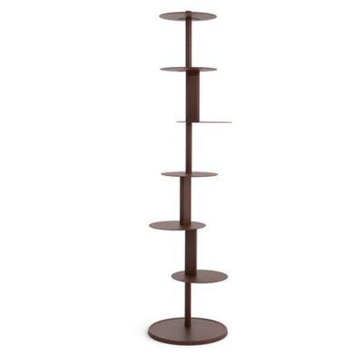 Plates Shelf