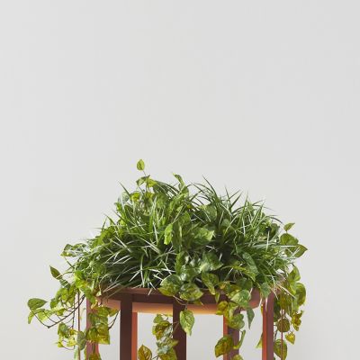Bols P-4028X Outdoor Vegetation Kit