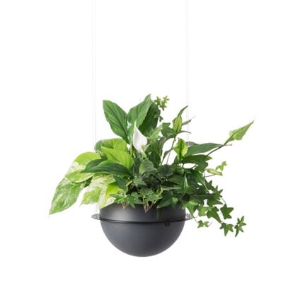 Circ Suspension Flower Pot Kit by Estiluz at