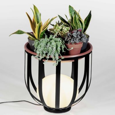 Bols Flowerpot Set