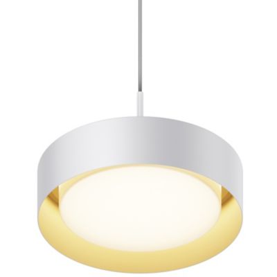 Echo LED Pendant