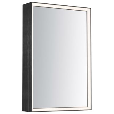 Bevel LED Medicine Cabinet