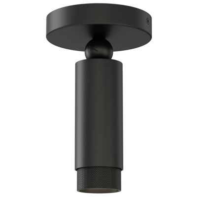 Cleo Adjustable LED Spotlight