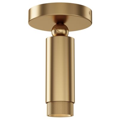 Cleo Adjustable LED Spotlight