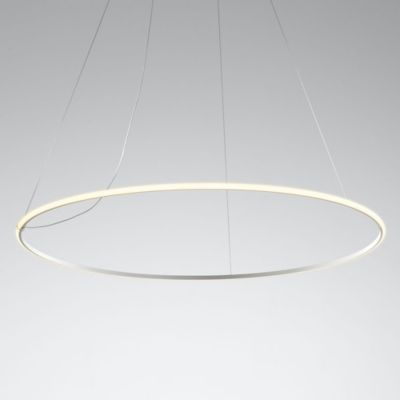 Olympic F45 Pendant