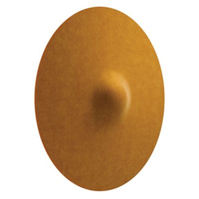Acustica F58 LED Wall / Ceiling Light