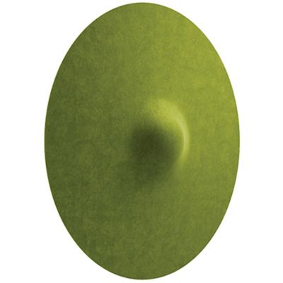 Acustica F58 LED Wall / Ceiling Light