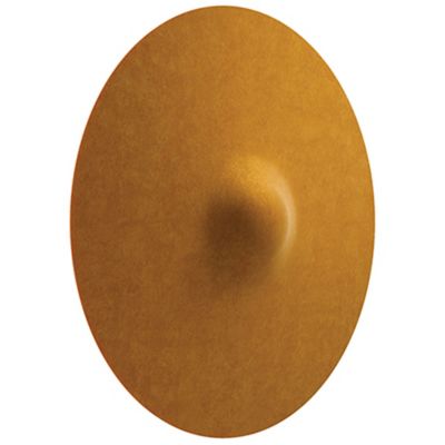 Acustica F58 LED Wall / Ceiling Light