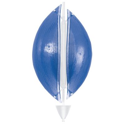 Embark Oval LED Wall Sconce