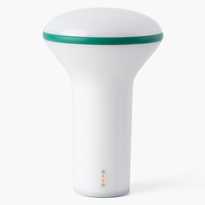 Buddy LED Desk Lamp