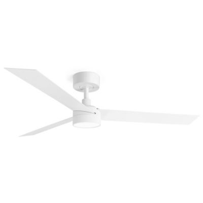 Cruiser DC Ceiling Fan