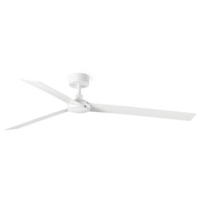 Cruiser DC Ceiling Fan