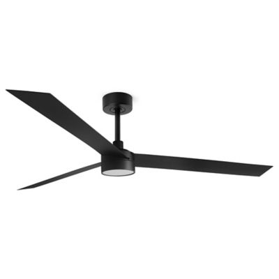 Cruiser DC Ceiling Fan