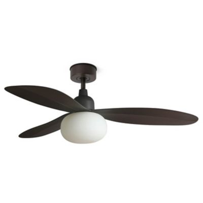 Palma DC Ceiling Fan