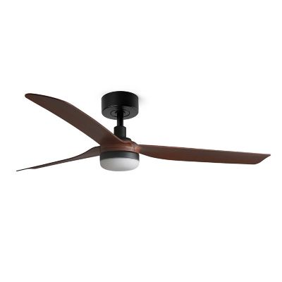 Punt DC Ceiling Fan