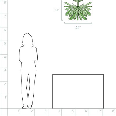 Lumens/FDRP205491_sd_08a