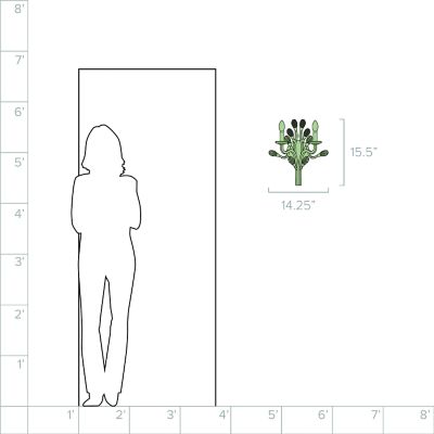 Lumens/FDRY12292_sd_08b