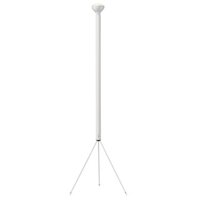 Luminator Floor Lamp
