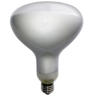 8W 120V R125 E26 LED Bulb