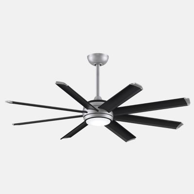 big outdoor ceiling fan with light